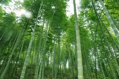 山東優(yōu)儀測(cè)控設(shè)備有限公司成立